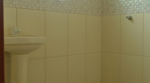 37_1634934977-475x290